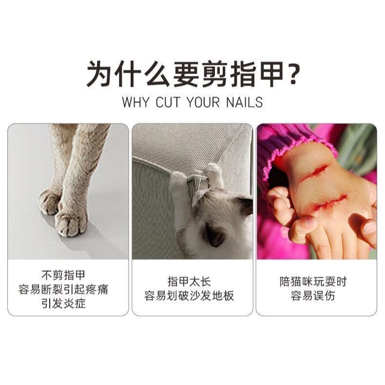 寵物指甲剪專用中型大型貓犬指甲鉗大號全鋼鋒利貓咪狗狗通用-細節圖11