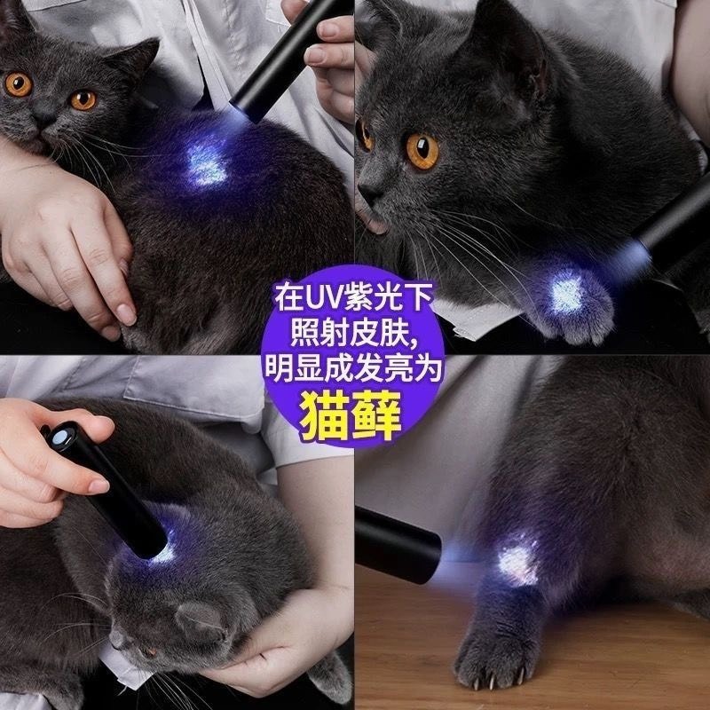 伍德貓蘚燈寵物真菌UV檢測可充電手電筒黑科技伍德氏檢測燈-細節圖2