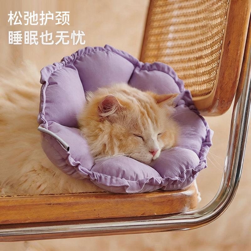 防水伊莉莎白圈小型犬狗頭套狗狗 小寵物貓咪絕育項圈防咬防舔神器-細節圖4