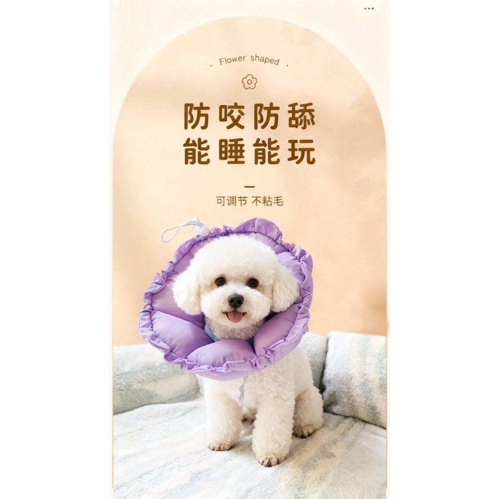 防水伊莉莎白圈小型犬狗頭套狗狗 小寵物貓咪絕育項圈防咬防舔神器-細節圖7