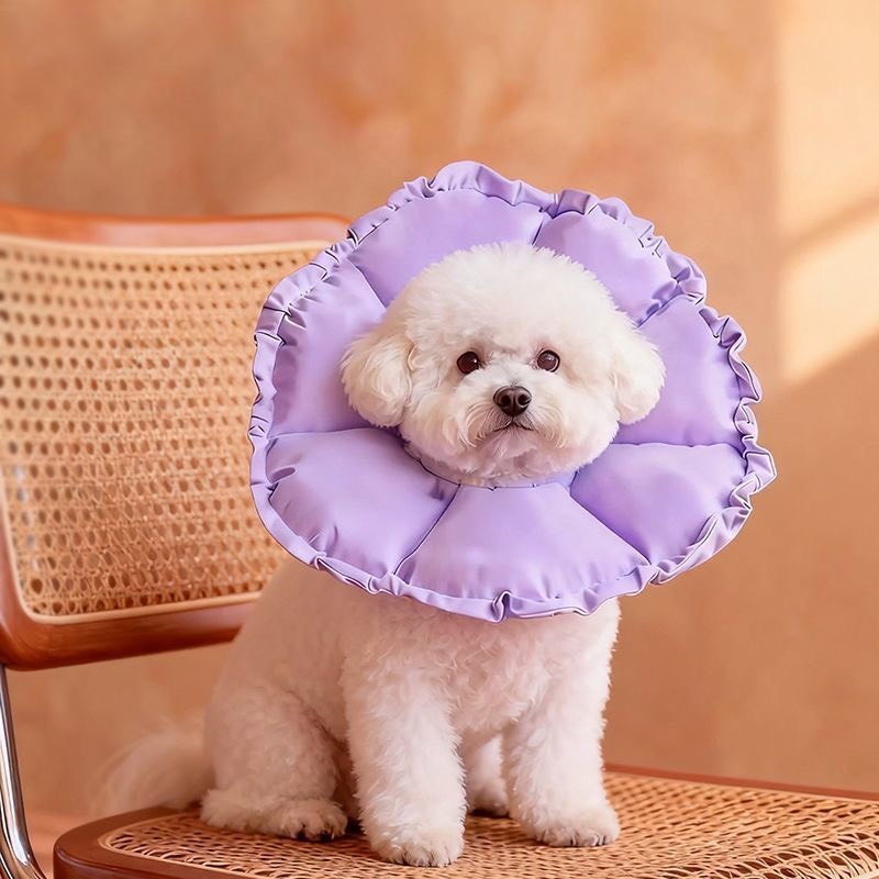 防水伊莉莎白圈小型犬狗頭套狗狗 小寵物貓咪絕育項圈防咬防舔神器-細節圖9