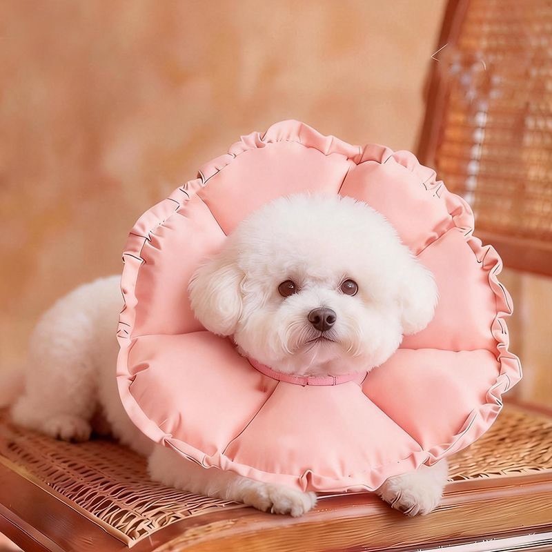 防水伊莉莎白圈小型犬狗頭套狗狗 小寵物貓咪絕育項圈防咬防舔神器-細節圖10