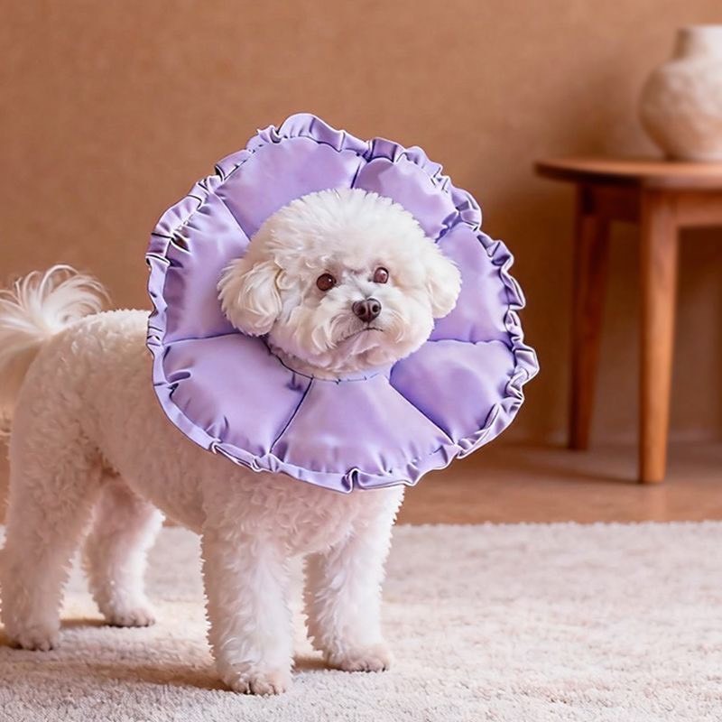 防水伊莉莎白圈小型犬狗頭套狗狗 小寵物貓咪絕育項圈防咬防舔神器-細節圖11