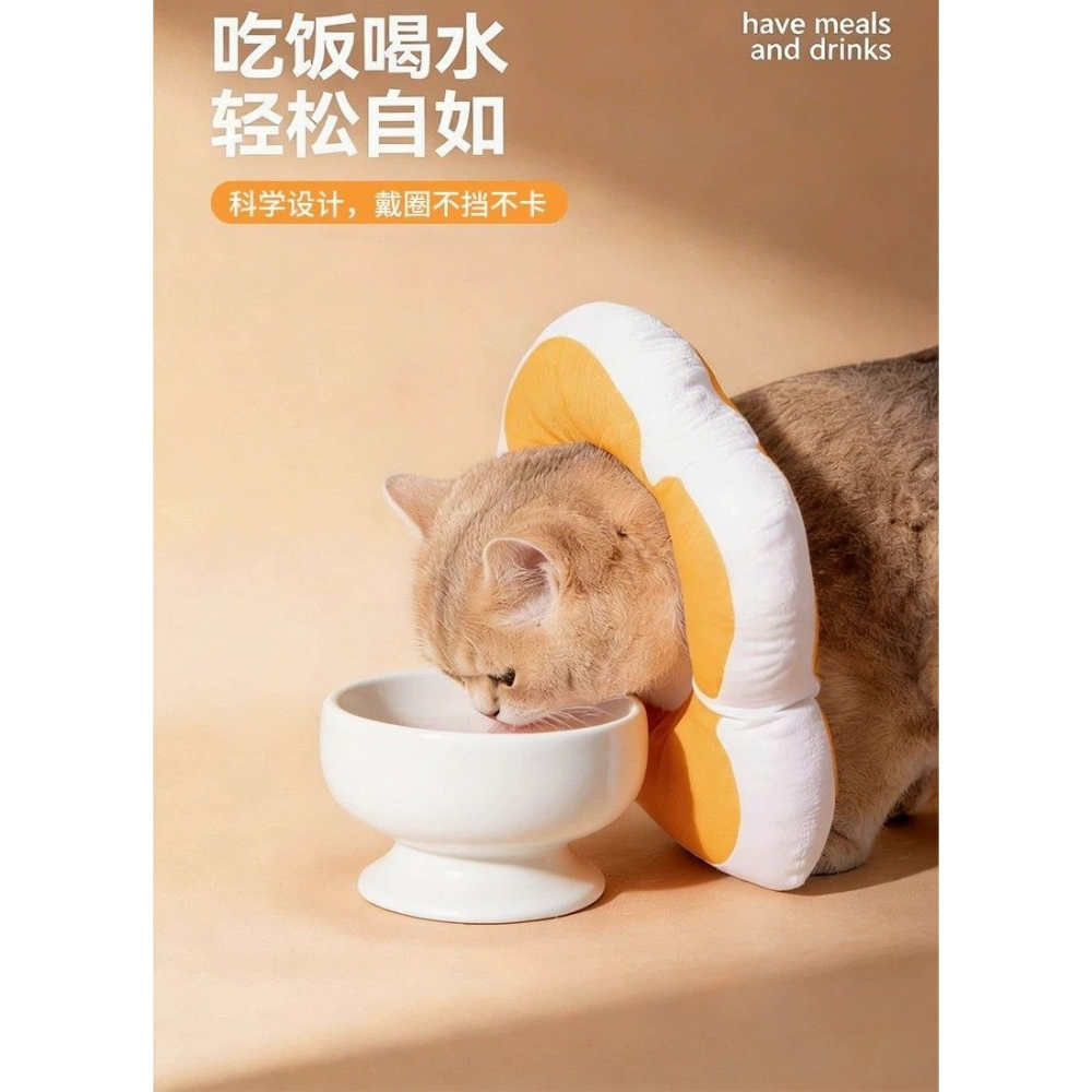 太陽花伊莉莎白貓圈防舔絕育用品大貓咪頭套防水防抓伊莉莎白-細節圖11