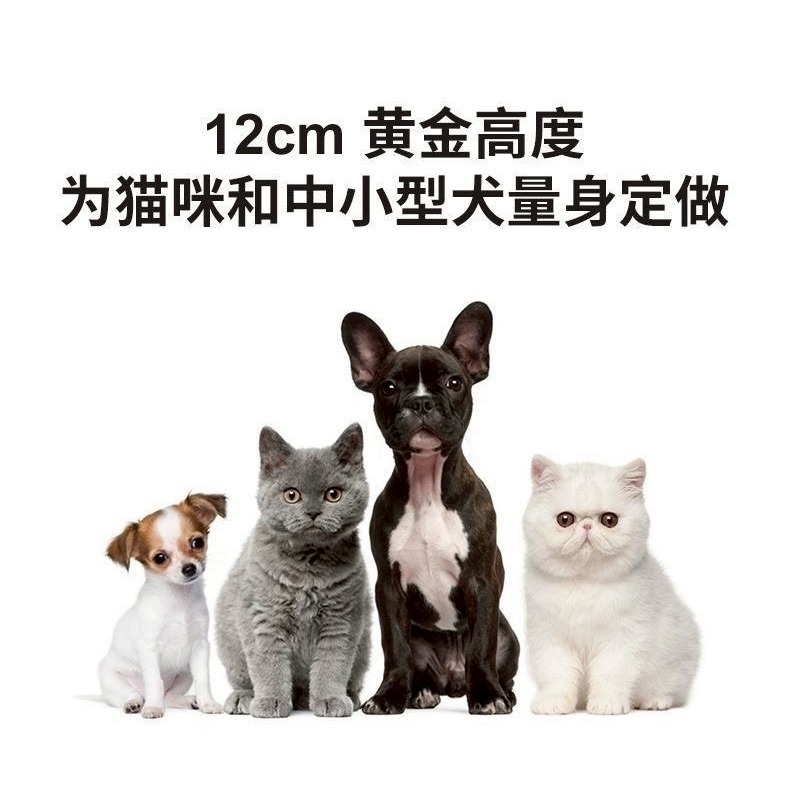 貓狗陶瓷碗斜口護頸椎大口徑支架-細節圖9