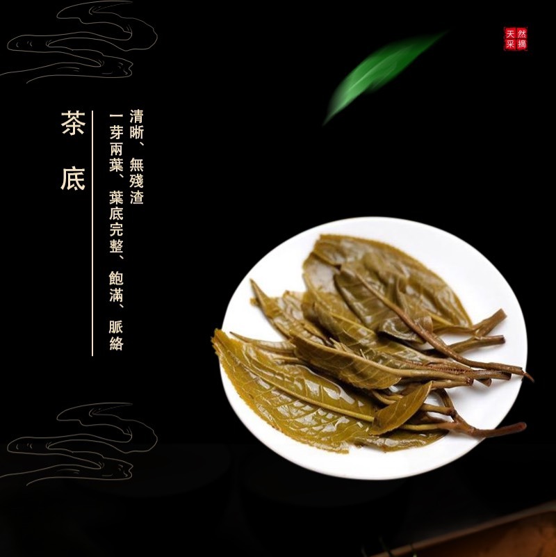 普洱茶 迷你小沱茶餅(每顆重約5~6g) 小龍珠 雲南 西雙版納 勐海  陳年經典 四季飲品-細節圖4