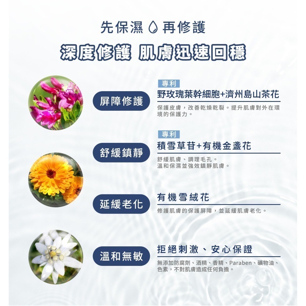 DV 極致水潤光保濕乳霜30ml-細節圖7