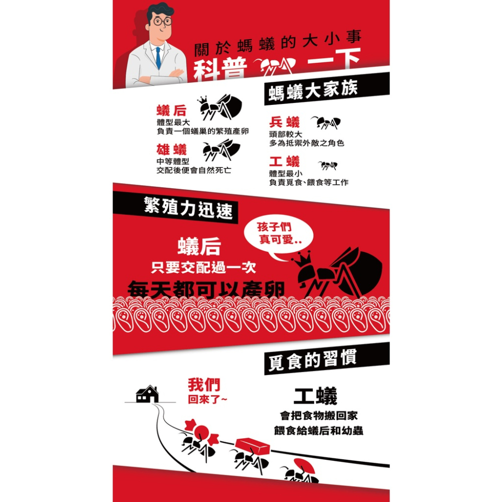 🚫除蟲凝膠 加贈防誤食盒 殺蟑 除蟻 殺蟲 除蟲 滅蟲 防止 滅蟑 滅蟻 174T 益必達 凝膠 害蟲-細節圖7