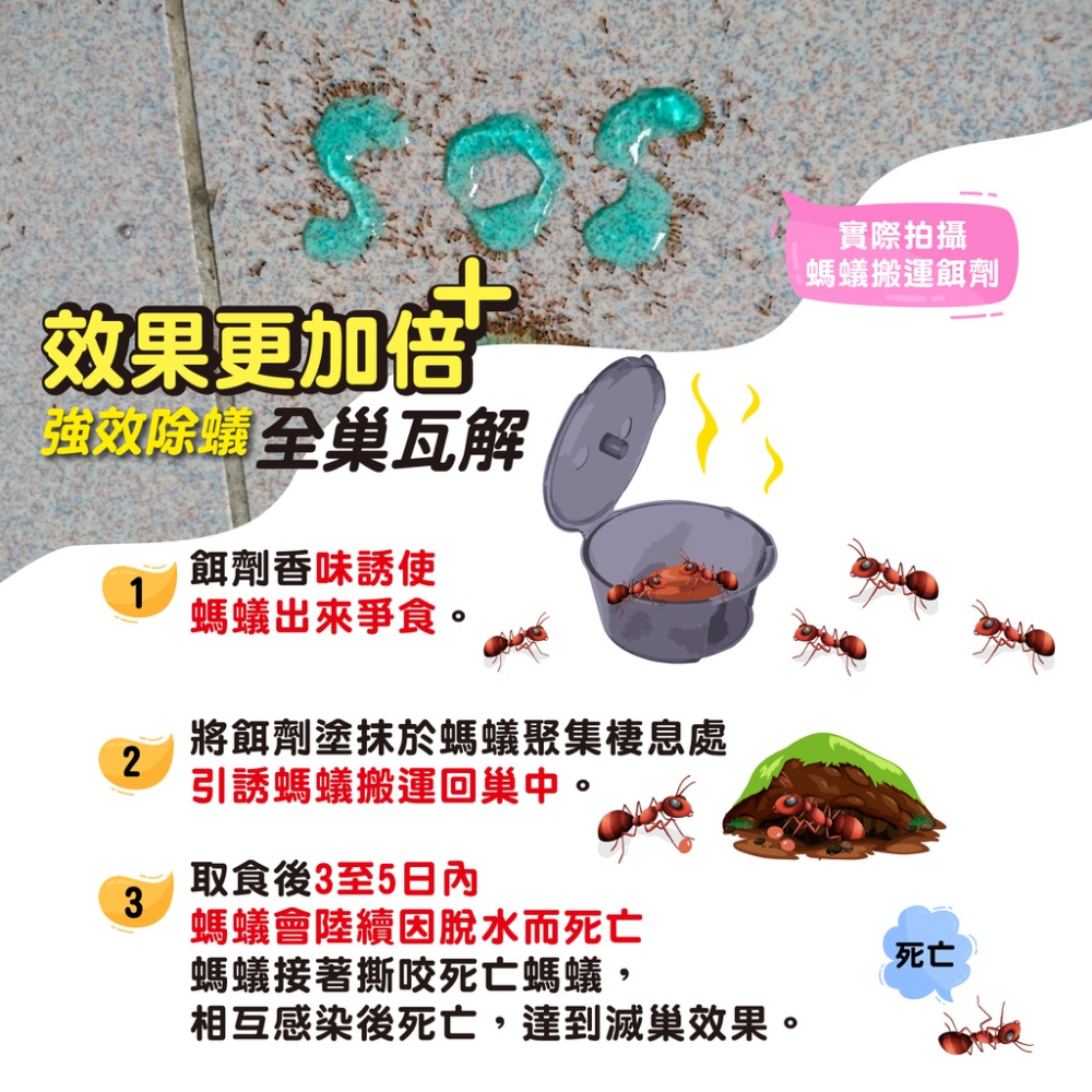 🚫除蟲專家 奧除 驅蟻劑 新奧除驅蟻劑 80g/瓶 螞蟻藥 滅蟻 除蟻  清除害蟲-細節圖4