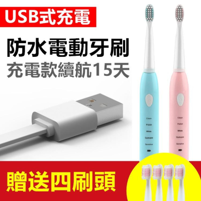 【贈4刷頭】電動牙刷 IPX7防水 聲波牙刷 軟毛牙刷 牙刷 牙齒美白 刷牙潔牙 USB充電【RS1004】