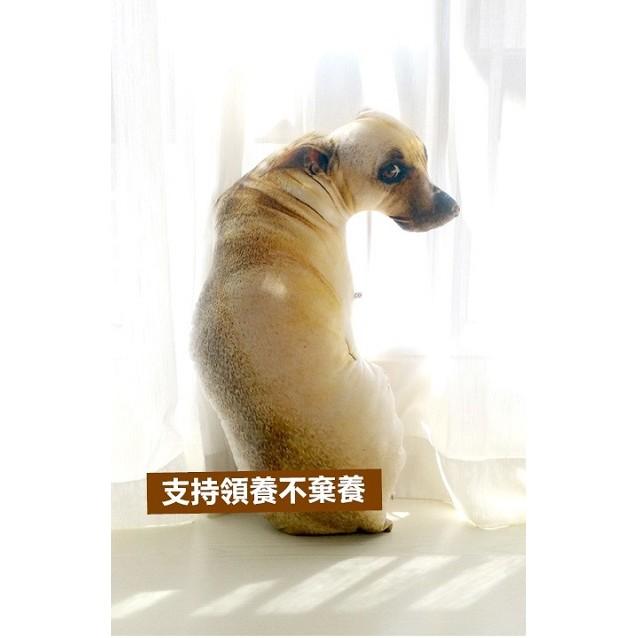 超仿真🐶 狗狗抱枕 米克斯 厭世狗 創意 抱枕 靠墊 聖誕交換禮物 禮物【RS513】-細節圖6