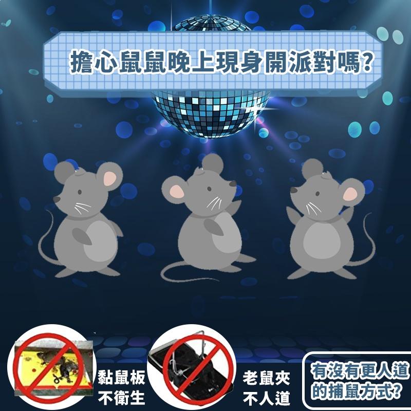 【現貨 捕鼠神器】捕鼠器 鼠洞補鼠器 老鼠誘補器 老鼠捕抓器 老鼠剋星 老鼠盒  老鼠屋 抓老鼠 捉老鼠-細節圖2