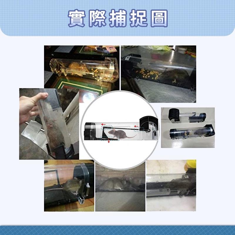 【現貨 捕鼠神器】捕鼠器 鼠洞補鼠器 老鼠誘補器 老鼠捕抓器 老鼠剋星 老鼠盒  老鼠屋 抓老鼠 捉老鼠-細節圖5