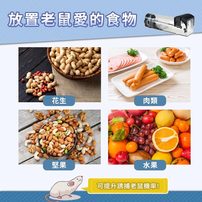 【現貨 捕鼠神器】捕鼠器 鼠洞補鼠器 老鼠誘補器 老鼠捕抓器 老鼠剋星 老鼠盒  老鼠屋 抓老鼠 捉老鼠-細節圖6