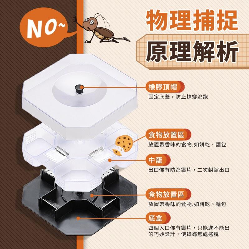 【台灣現貨】捕蟑器 蟑螂誘補器 蟑螂捕抓器 蟑螂剋星 蟑螂盒  蟑螂屋 抓蟑螂 蟑螂屋 殺蟑螂 捉蟑螂-細節圖2
