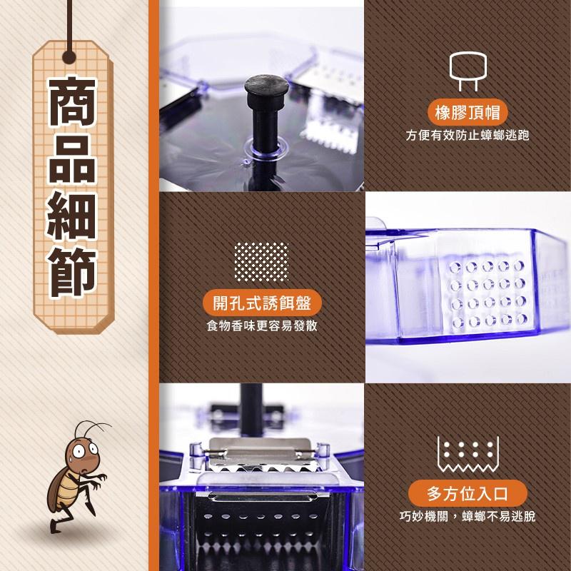 【台灣現貨】捕蟑器 蟑螂誘補器 蟑螂捕抓器 蟑螂剋星 蟑螂盒  蟑螂屋 抓蟑螂 蟑螂屋 殺蟑螂 捉蟑螂-細節圖3