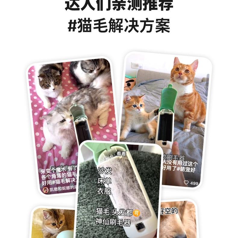 無耗材可水洗 抖音熱款 居家除毛器 寵物除毛器 清理貓毛 講怪星空刷 靜電除毛刷 多用雙面刷毛器 貓毛刮毛器 滾筒粘毛器-細節圖5