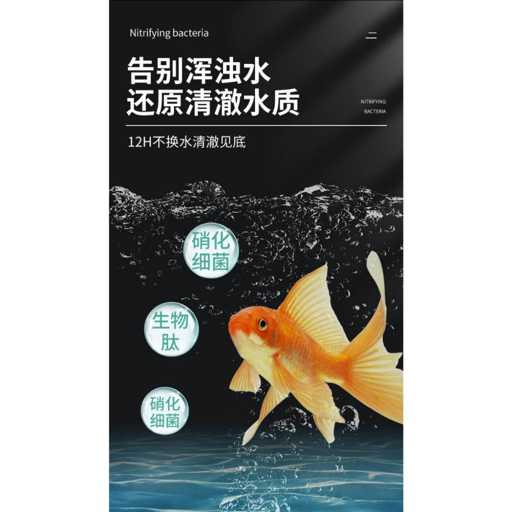 污水淨化硝化細菌 告別渾濁水 還原清澈水質 化糞為水 硝化細菌 綠水 魚缸生態硝化菌 淨化水質 維持生態平衡 改善水質-細節圖3