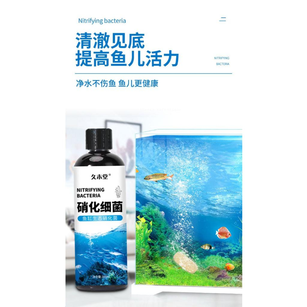 污水淨化硝化細菌 告別渾濁水 還原清澈水質 化糞為水 硝化細菌 綠水 魚缸生態硝化菌 淨化水質 維持生態平衡 改善水質-細節圖5
