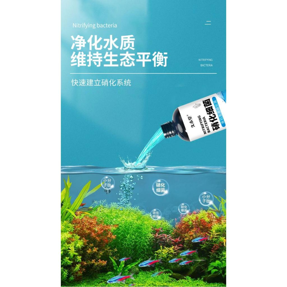 污水淨化硝化細菌 告別渾濁水 還原清澈水質 化糞為水 硝化細菌 綠水 魚缸生態硝化菌 淨化水質 維持生態平衡 改善水質-細節圖6