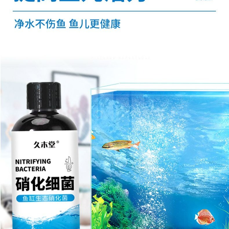污水淨化硝化細菌 告別渾濁水 還原清澈水質 化糞為水 硝化細菌 綠水 魚缸生態硝化菌 淨化水質 維持生態平衡 改善水質-細節圖5