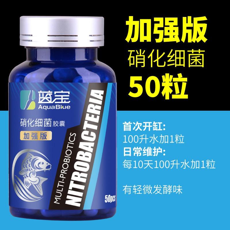 升級版50粒裝 加強升級版 藍寶硝化菌膠囊 污水淨化硝化細菌 魚缸水族箱濃縮硝化菌乾粉膠囊 穩定水質 水族藥劑 淨化水質-細節圖2