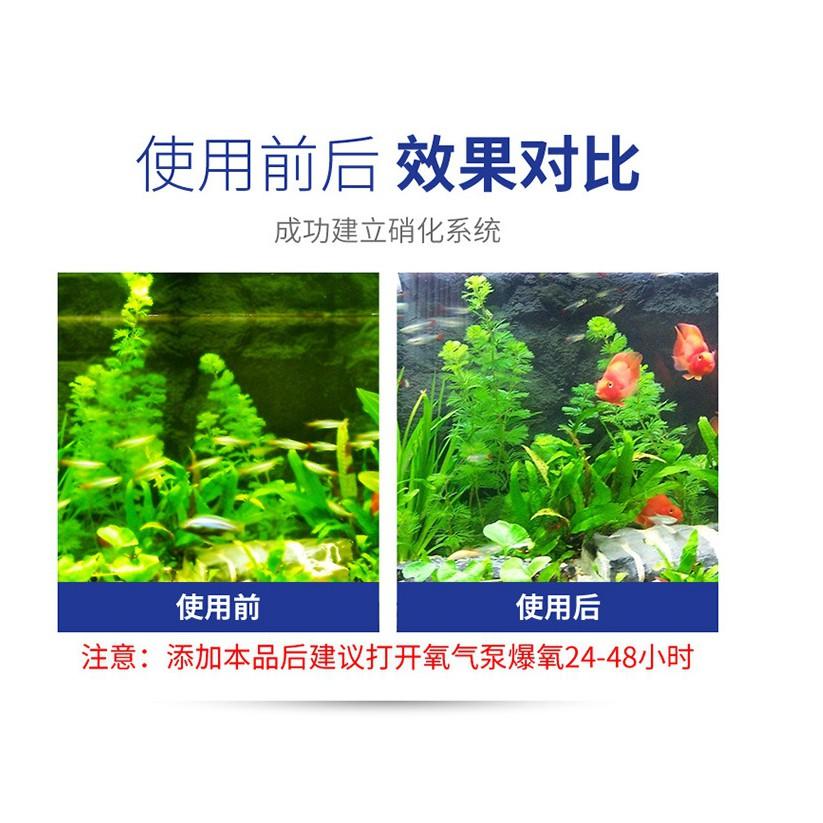 升級版50粒裝 加強升級版 藍寶硝化菌膠囊 污水淨化硝化細菌 魚缸水族箱濃縮硝化菌乾粉膠囊 穩定水質 水族藥劑 淨化水質-細節圖3