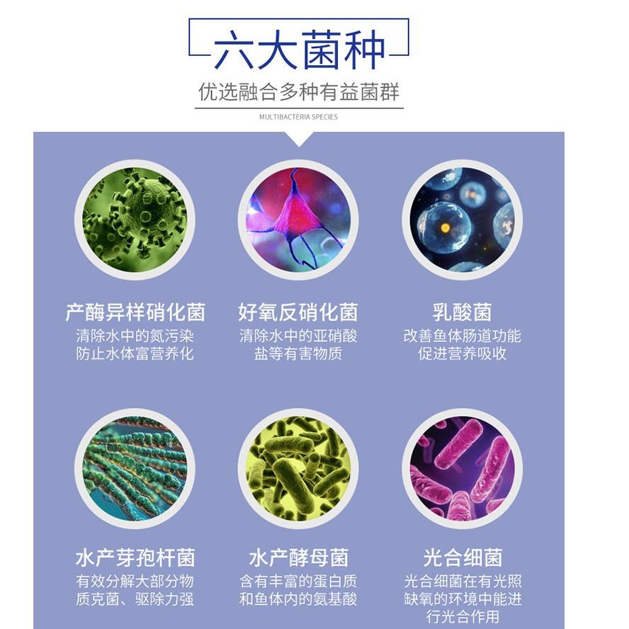 升級版50粒裝 加強升級版 藍寶硝化菌膠囊 污水淨化硝化細菌 魚缸水族箱濃縮硝化菌乾粉膠囊 穩定水質 水族藥劑 淨化水質-細節圖5