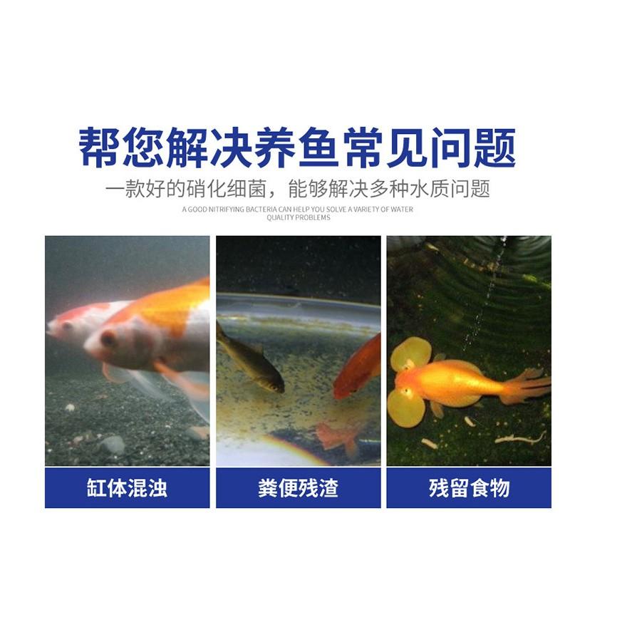 升級版50粒裝 加強升級版 藍寶硝化菌膠囊 污水淨化硝化細菌 魚缸水族箱濃縮硝化菌乾粉膠囊 穩定水質 水族藥劑 淨化水質-細節圖6