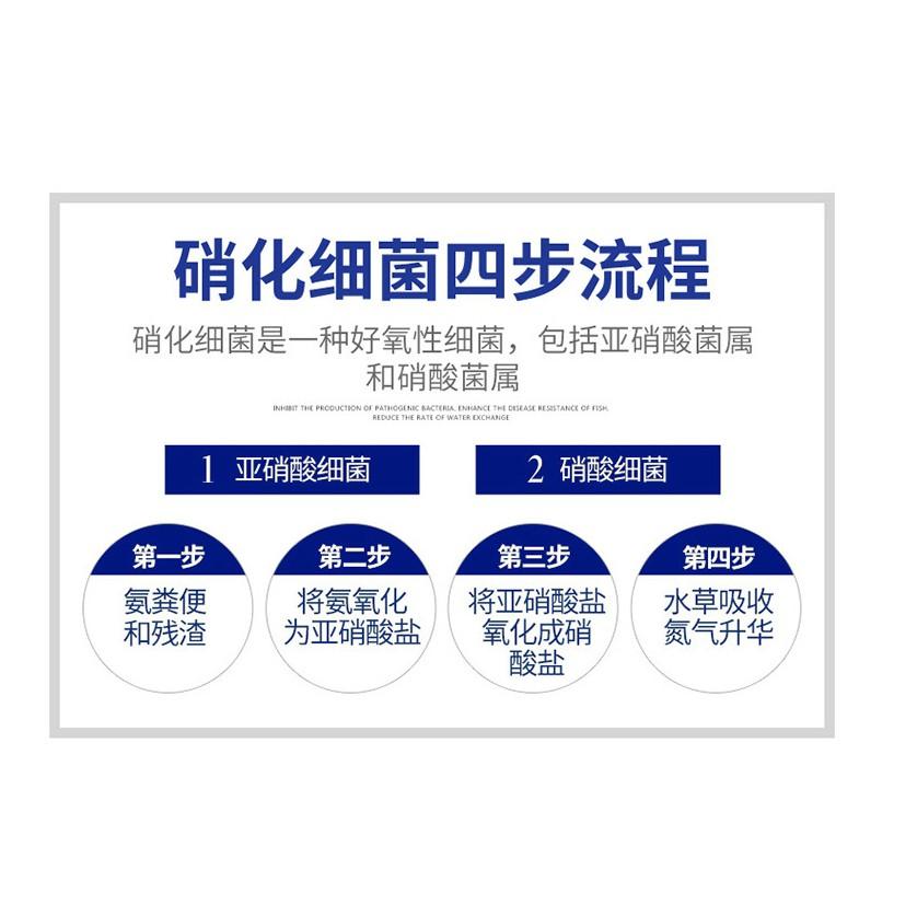 升級版50粒裝 加強升級版 藍寶硝化菌膠囊 污水淨化硝化細菌 魚缸水族箱濃縮硝化菌乾粉膠囊 穩定水質 水族藥劑 淨化水質-細節圖7