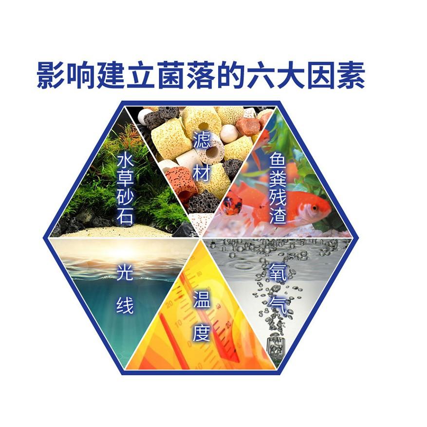 升級版50粒裝 加強升級版 藍寶硝化菌膠囊 污水淨化硝化細菌 魚缸水族箱濃縮硝化菌乾粉膠囊 穩定水質 水族藥劑 淨化水質-細節圖8