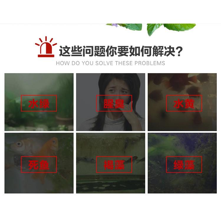 買一送一 過濾神器 净水魔方 魚缸活性炭過濾 水族箱去黃水 除腥臭 清潔 養魚 淨水魔方 淨化水質 魚缸過濾 清潔魚缸-細節圖4