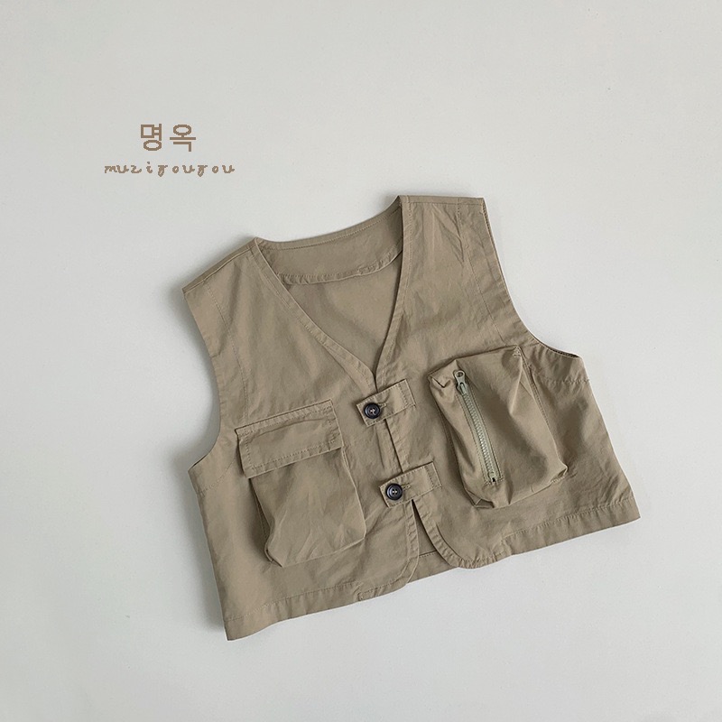 茴香棕