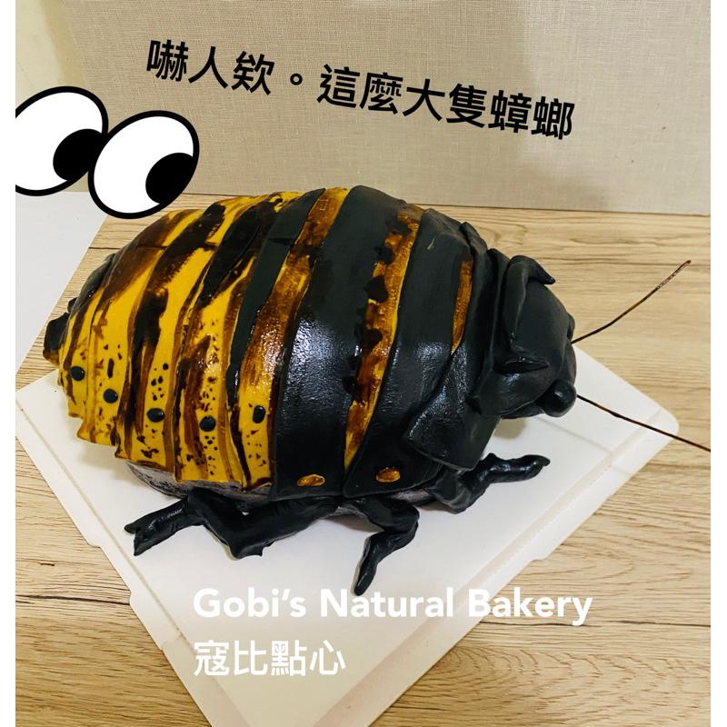 寇比造型蛋糕 馬達加斯加蟑螂 馬島蟑螂 蟑螂蛋糕 造型蛋糕  生日蛋糕  蛋糕-細節圖2