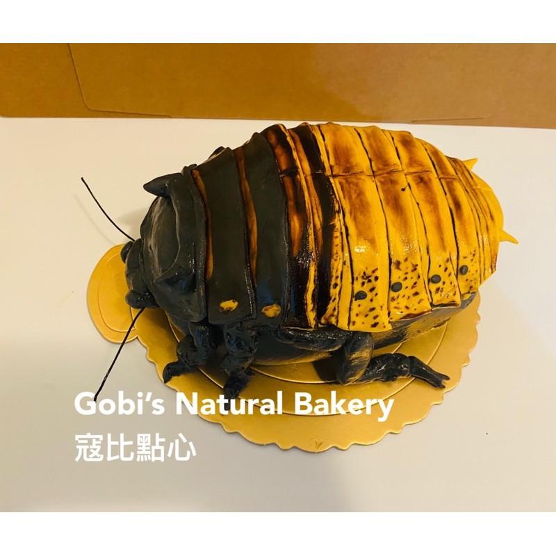 寇比造型蛋糕 馬達加斯加蟑螂 馬島蟑螂 蟑螂蛋糕 造型蛋糕  生日蛋糕  蛋糕-細節圖5