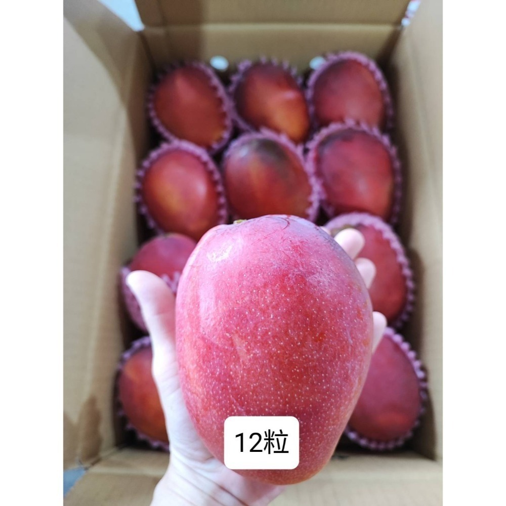 外銷等級-12粒 (6kg)-細節圖2