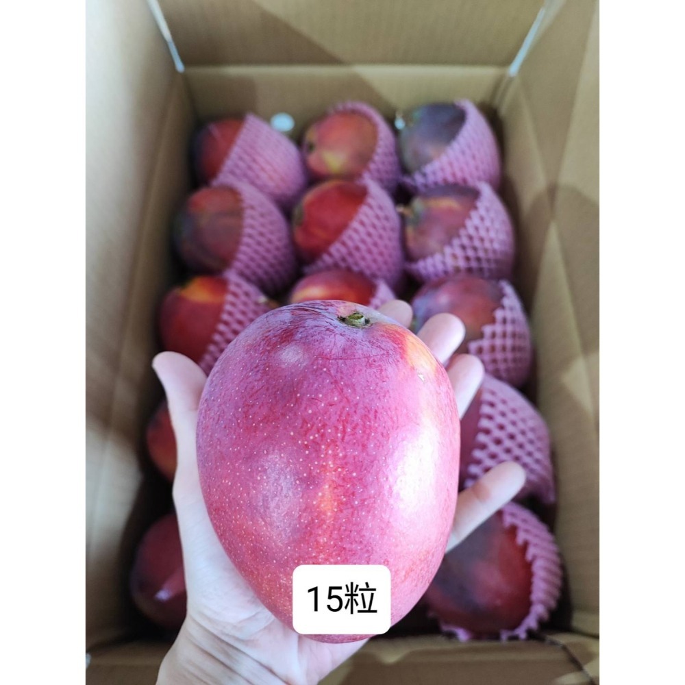 外銷等級-15粒 (6kg)-細節圖2