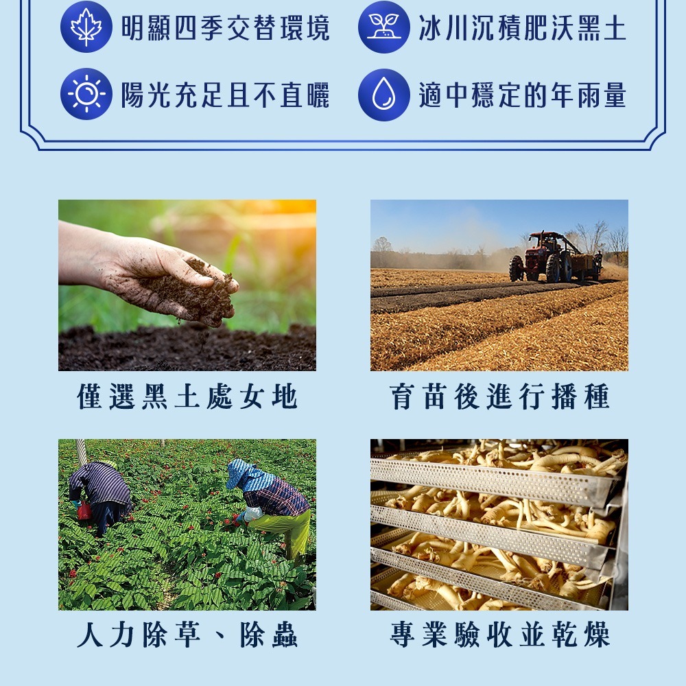 德安堂美國威斯康辛州花旗蔘粉-細節圖7