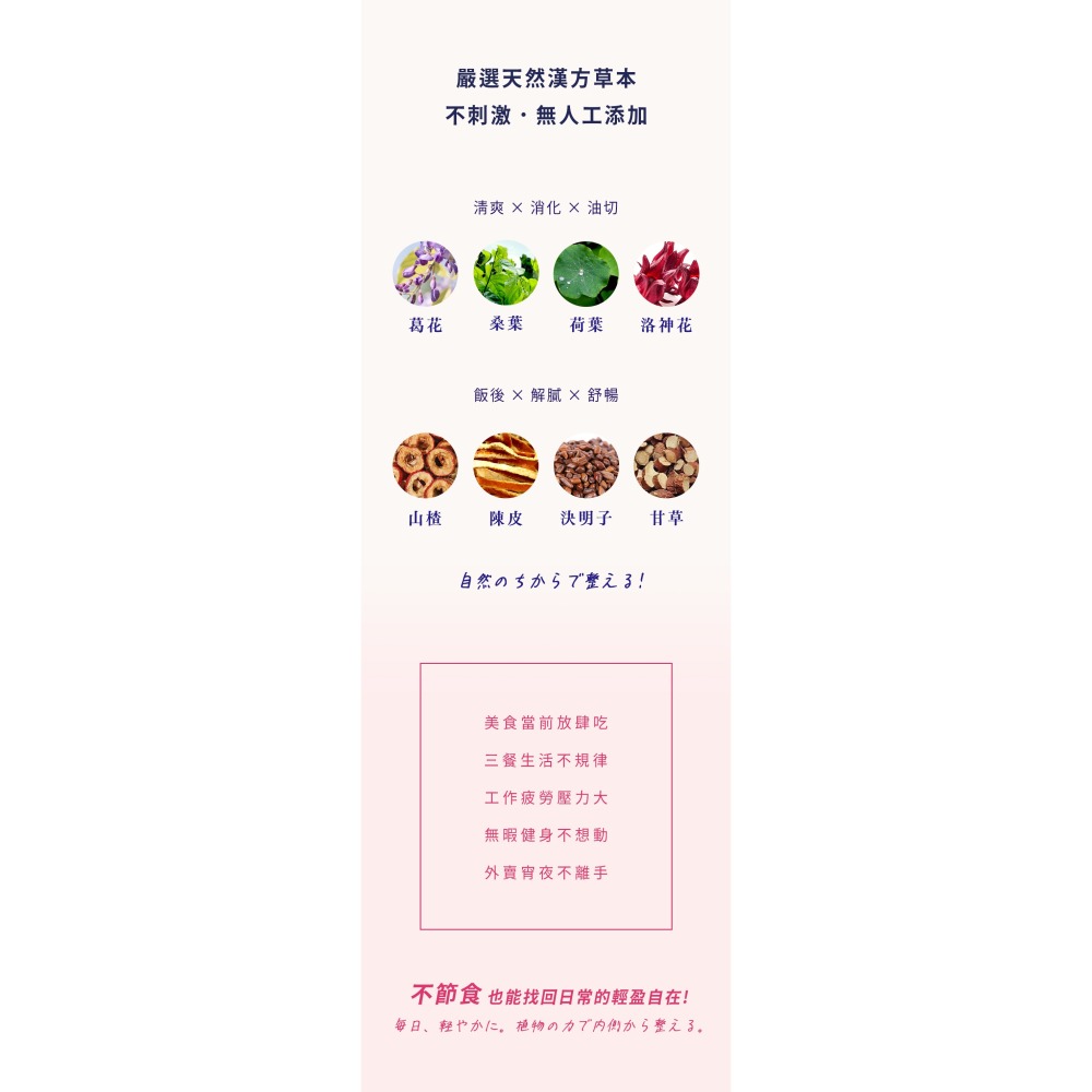 德安堂葛花孅塑飲-細節圖3