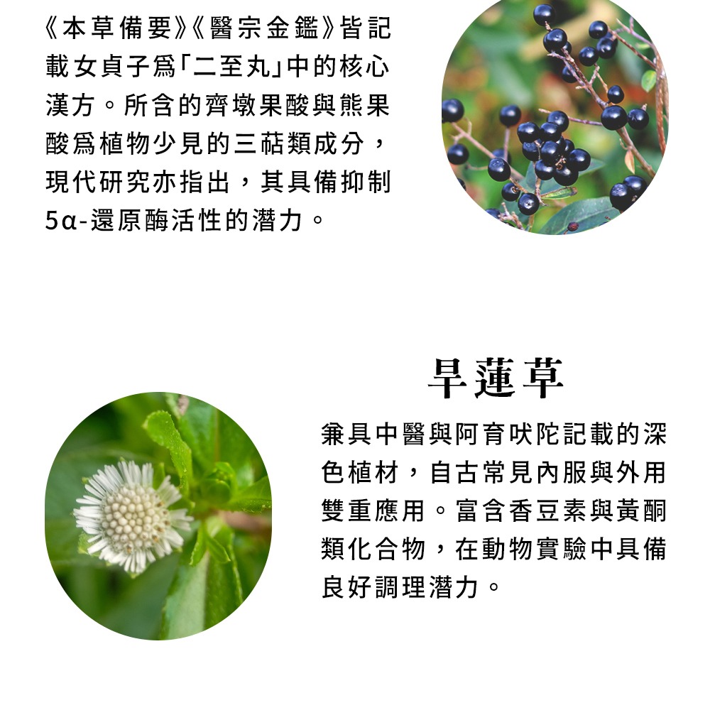 德安堂首烏桑麻飲-細節圖5