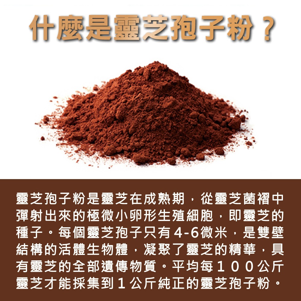 德安堂靈芝破壁孢子粉-細節圖4