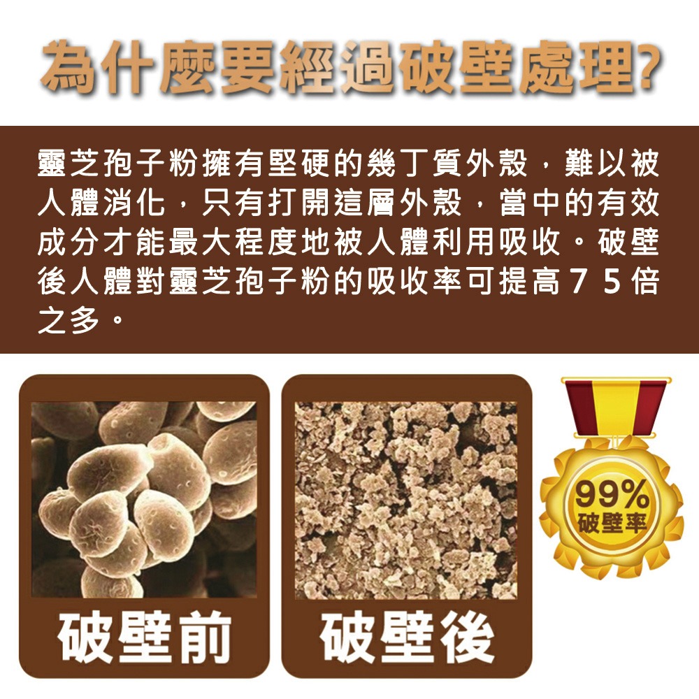 德安堂靈芝破壁孢子粉-細節圖5