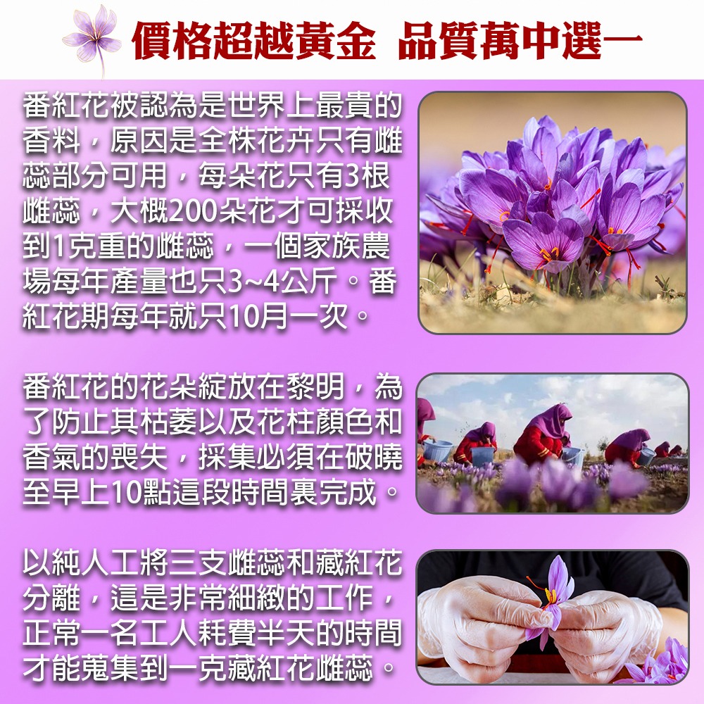 百年德安堂頂級Super Negin番紅花-細節圖3