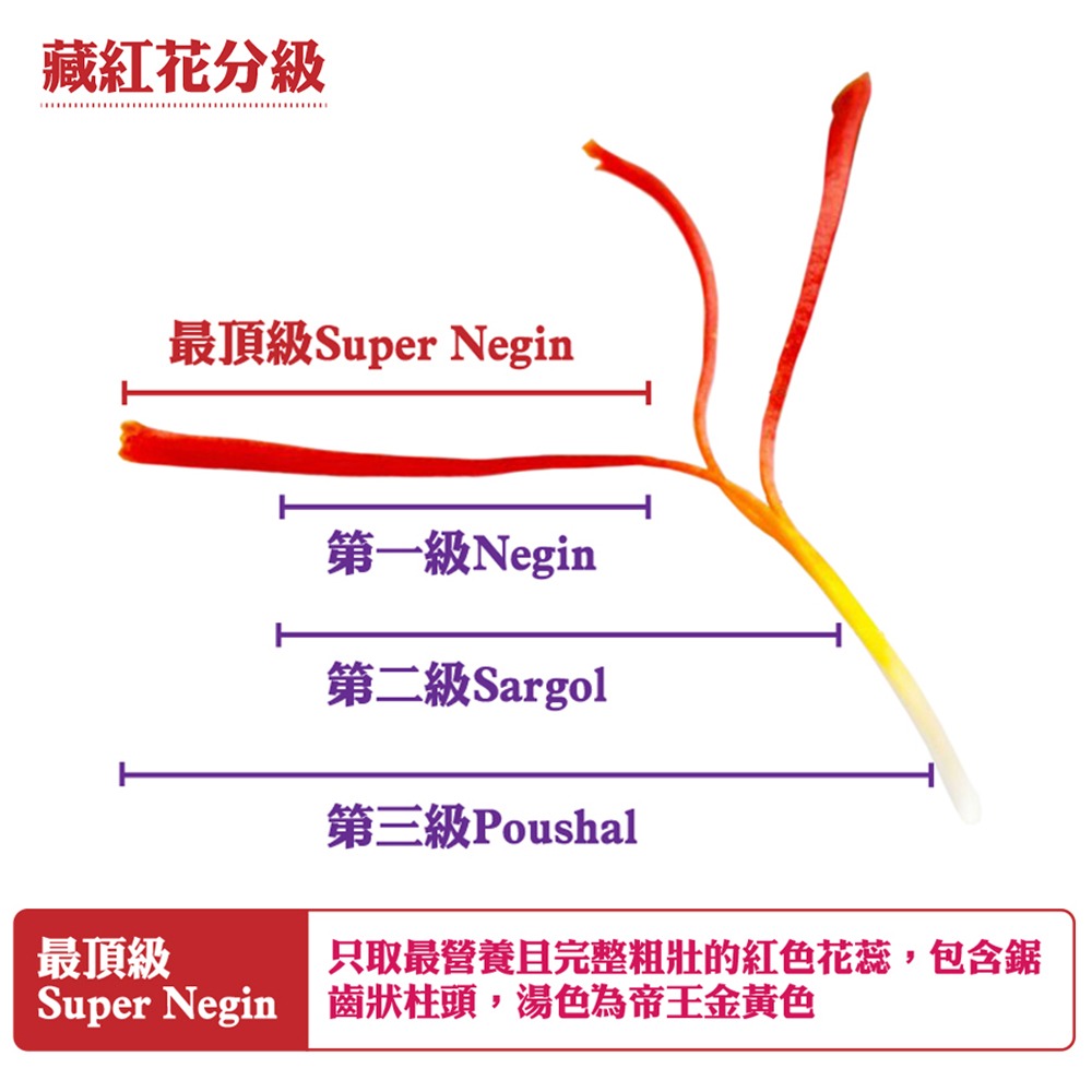 百年德安堂超級Super Negin頭茬番紅花-細節圖7