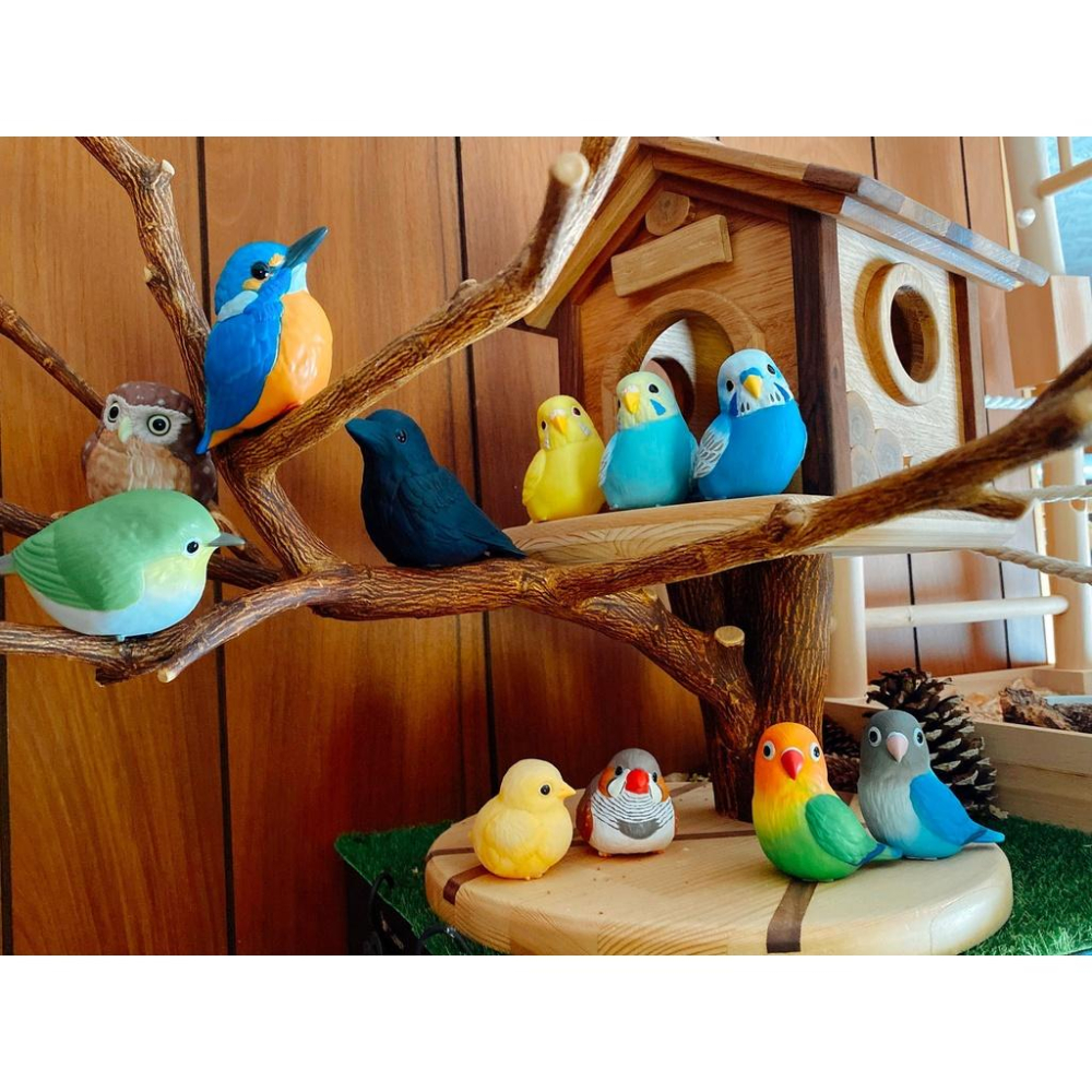 現貨) 日本代購盒玩系列 胖嘟嘟鳥 虎皮鸚鵡 愛情鳥 斑胸草雀 翠鳥 綠繡眼 貓頭鷹 烏鴉-細節圖3