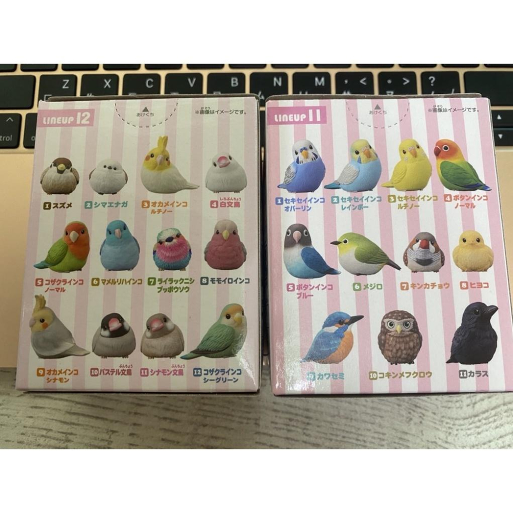 現貨) 日本代購盒玩系列 胖嘟嘟鳥 虎皮鸚鵡 愛情鳥 斑胸草雀 翠鳥 綠繡眼 貓頭鷹 烏鴉-細節圖4