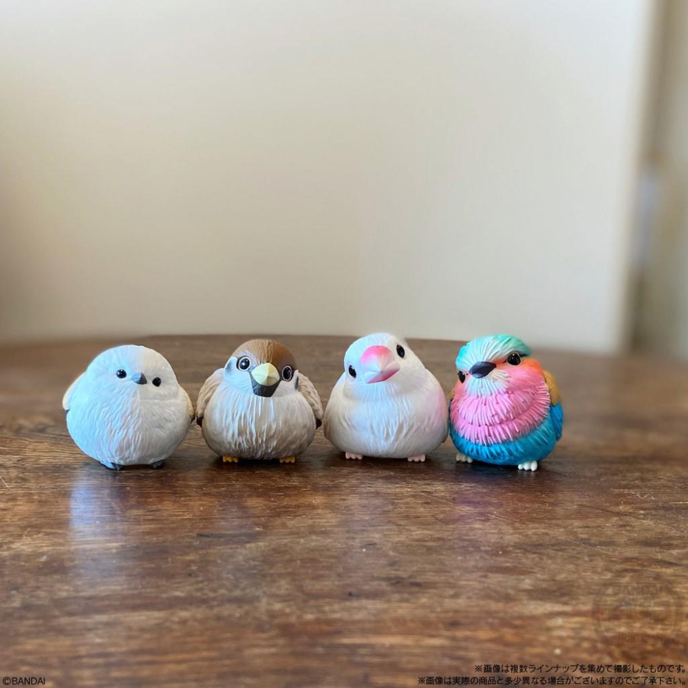現貨) 日本代購盒玩系列 胖嘟嘟鳥 虎皮鸚鵡 愛情鳥 斑胸草雀 翠鳥 綠繡眼 貓頭鷹 烏鴉-細節圖8