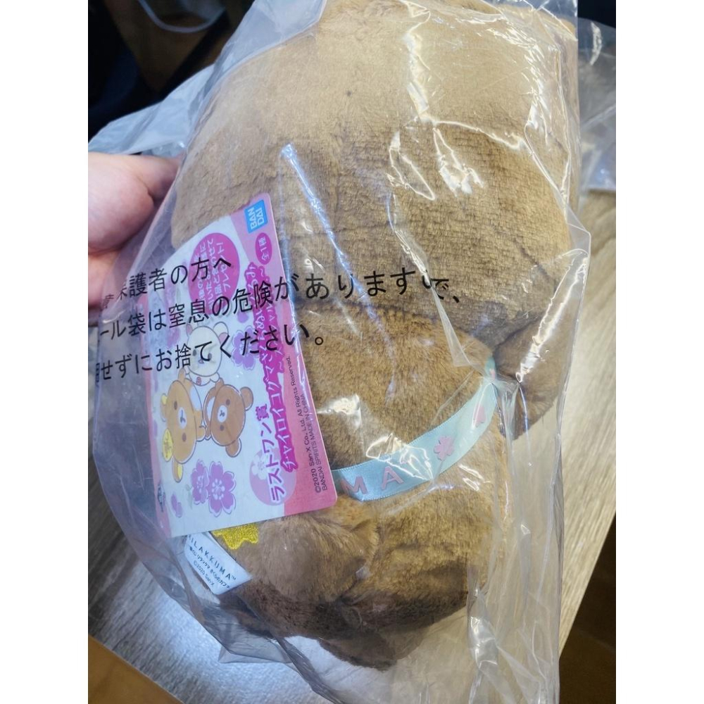 日本代購 現貨 櫻花 鬆弛熊 拉拉熊 蜜茶熊 懶懶熊 櫻花季 春天花季 玩偶 娃娃-細節圖5