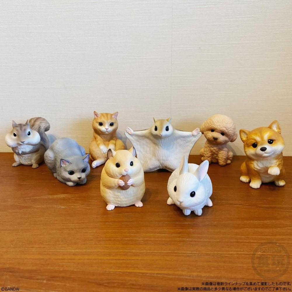 現貨）日本代購 盒玩系列 萌寵大集合 2021年2月-細節圖3