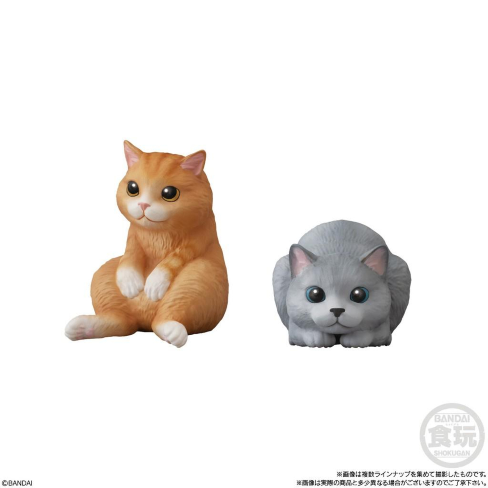 現貨）日本代購 盒玩系列 萌寵大集合 2021年2月-細節圖6